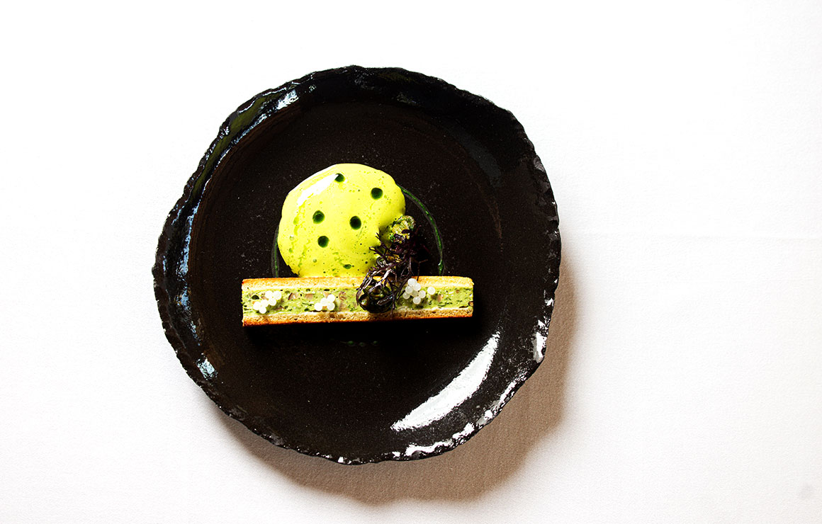 Le Clos de la Tour escargot