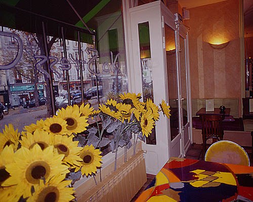 No Stress Café