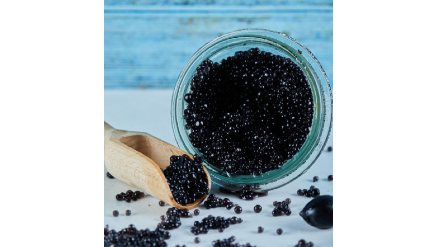 Caviar