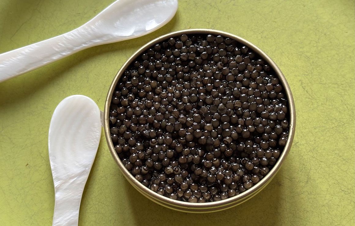 Caviar