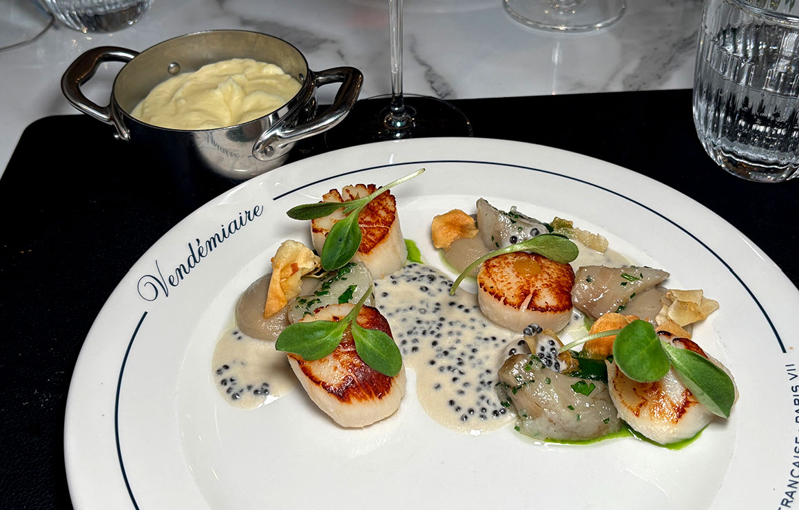 Vendémiaire Saint-Jacques 