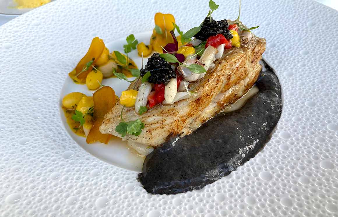 L'Oiseau Blanc Turbot