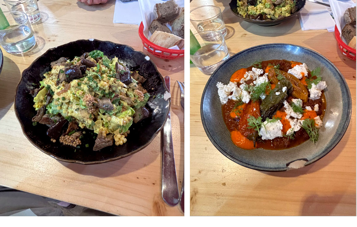 Effiloche de poulet et Mijoté de haricots