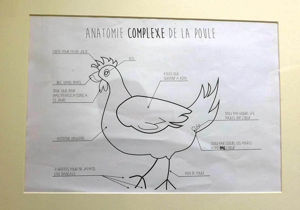 Explications de la poule