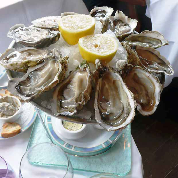 Restaurant Garnier, Une sélection d'huîtres 