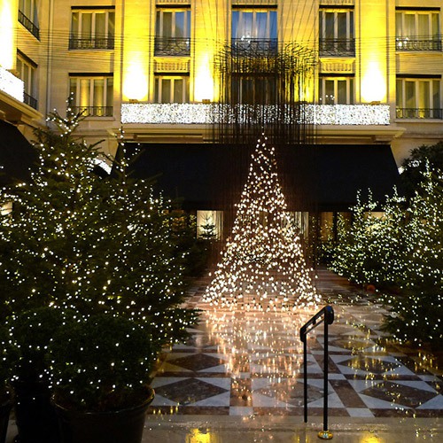 Restaurant Le Cinq : Décoration et sapins de Noël