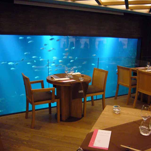 La salle et son aquarium géant