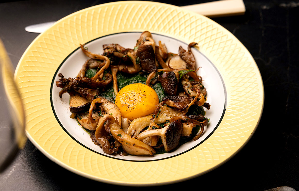Schnock Fricassée de champignons