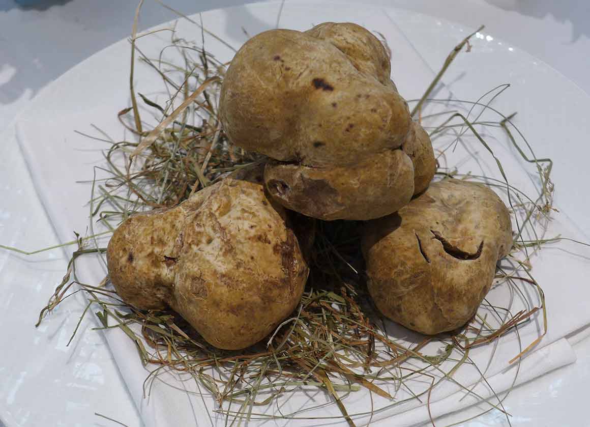 restaurant L'Assaggio truffes blanches d'Alba