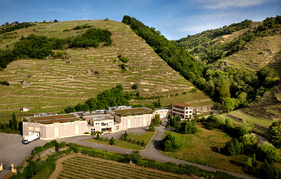 Maison Vidal Fleury